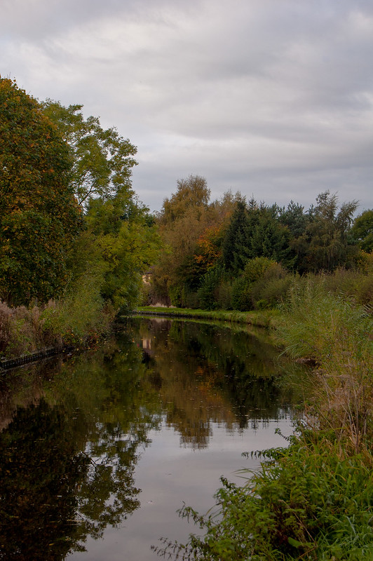 Canal scene, autumn