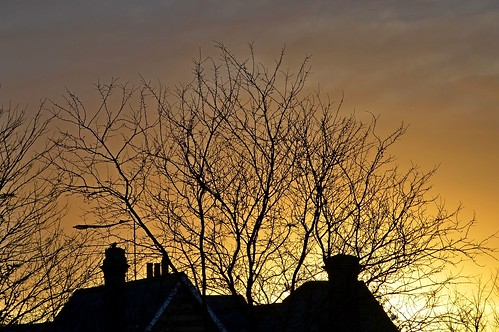 camera morning blue winter light sunset shadow sky cloud sun sunlight colour detail tree slr digital sunrise dark landscape suffolk nikon colours view bright sunny sharp crop croped sharpness d5100