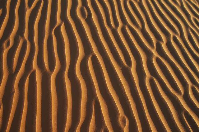 Dunes folds