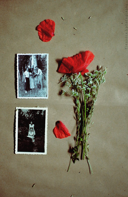 Poppies and old photographs.