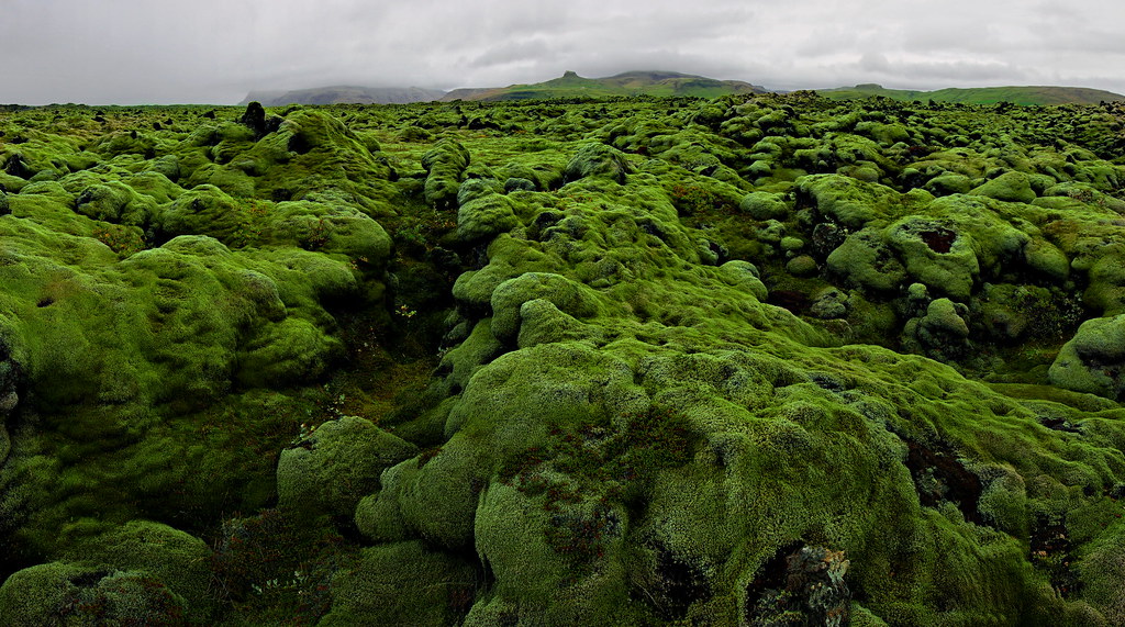 Moss Formations On Rocks Moss Formations over Rocks | Sony a7r2 with Zeiss 16-35mm FE… | Flickr