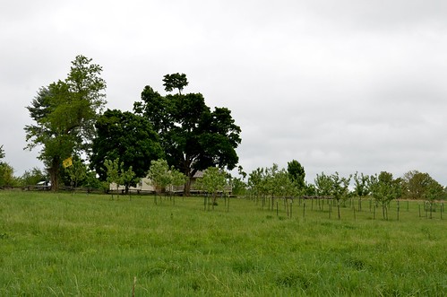landscape outdoors scenic orchard nationalbattlefield rayhouse nationalbattlefields
