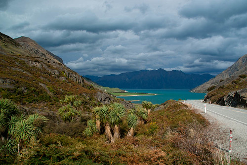 road newzealand sky brown lake mountains colour green clouds hills southisland centralotago bracken cabbagetrees lakehāwea
