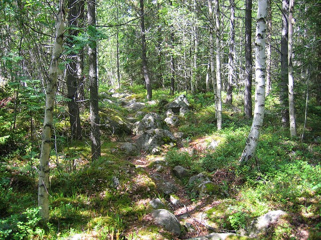 Hiking in Hudiksvall