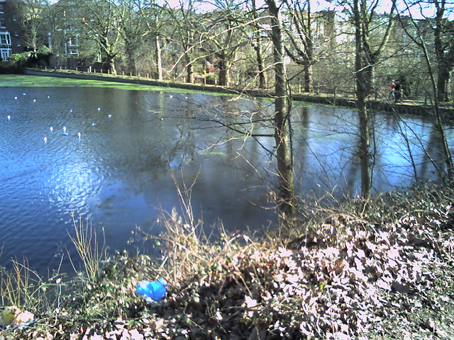 Ponds On Hampstead Heath