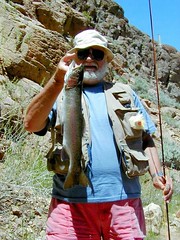Owyhee River, Nevada Trout - 1999