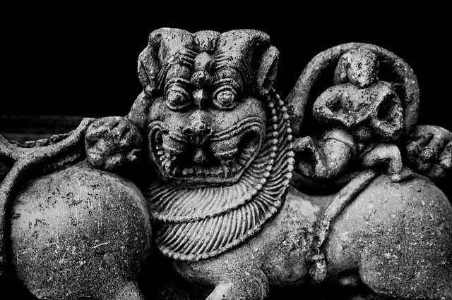 Hoysala Lion
