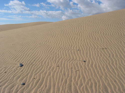 Gran Canaria Sanddunes | by Ruud Brouwers