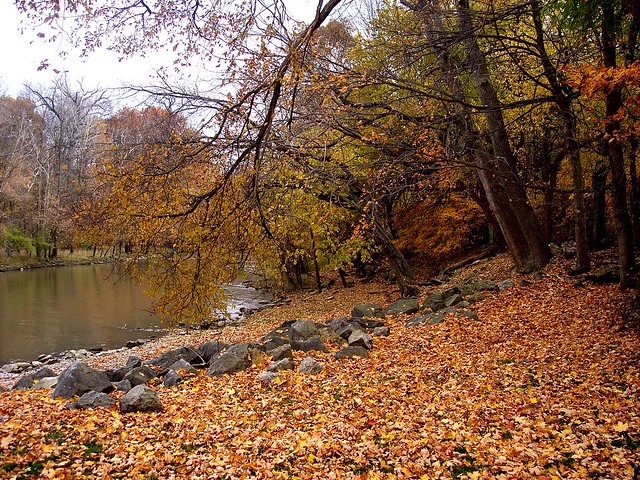 Olentangy River, Delaware, Ohio