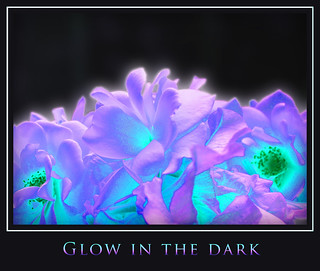Glow in the dark | by Cieleke
