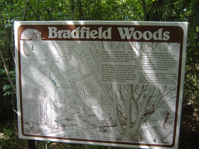 Bradfield Woods Suffolk