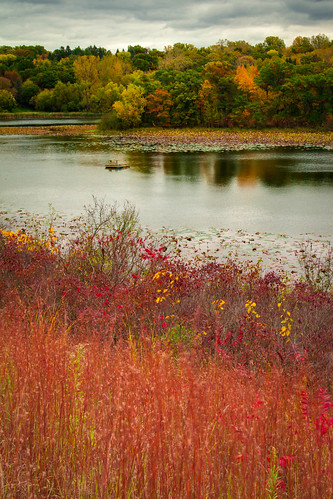 autumn bw fall minnesota landscape 1740mm f4l 1740mmf4l canonxsi