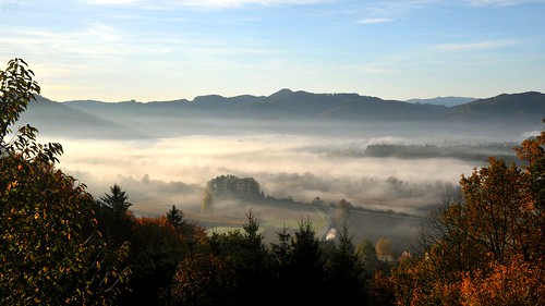 morning autumn oktober mist fall misty fog landscape austria october herbst foggy valley landschaft höst steiermark styria sulmtal grosklein