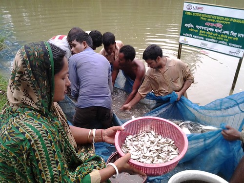 asia development bangladesh gender methodology fishculture