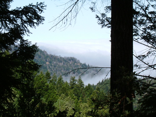 Leggett Hills. 2 big climbs between 101 and the coast