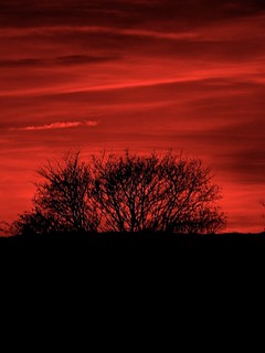 Blood-Red Sky