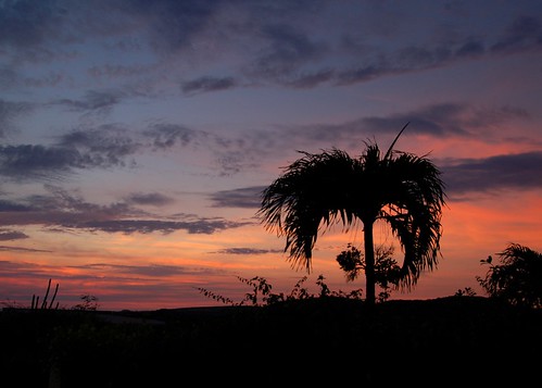 sunset sky vista caribbean bonaire ©allrightsreserved blinkagain