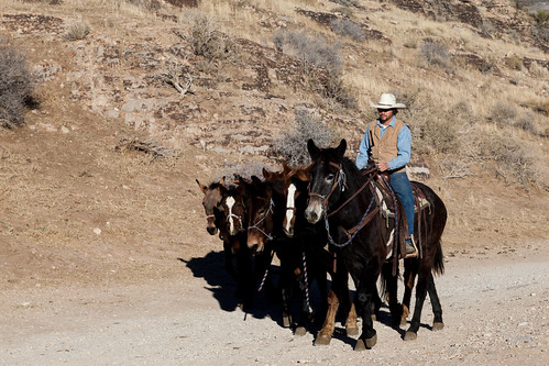 Cowboy Trail Rides Horseback Riding in Mojave Desert, near… | Flickr