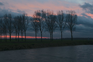 Hertogswetering en Nulandse Kerkdijk op een winterse en winderige namiddag, met bomenrij en zonsondergang