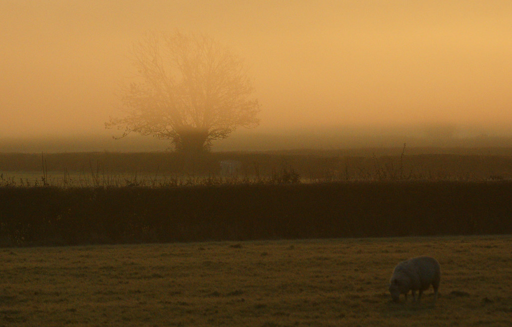 Mist at Dawn, Severn Valley, Gloucestershire