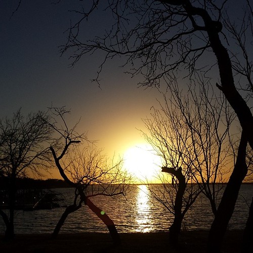through the trees by fotos de octopossum, sunset square squareformat iphoneography instagramapp uploaded:by=instagram