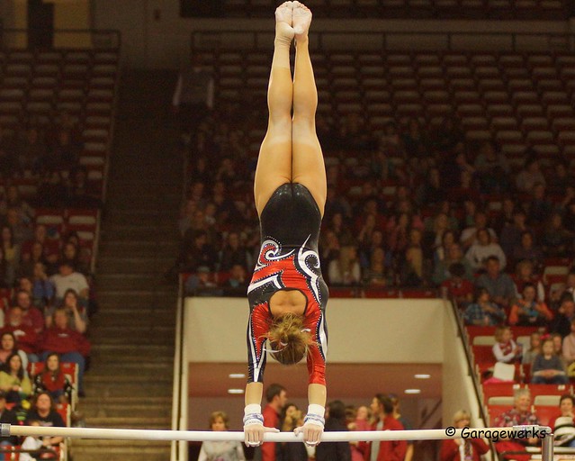 University of Arkansas vs Auburn University Gymnastics