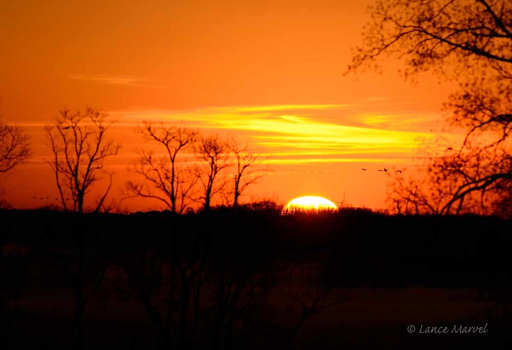 Savannah NWR Sunrise | Savannah NWR | Lance Marvel | Flickr