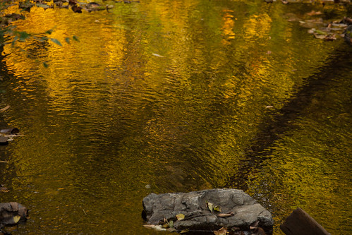 Reflections - Wapp Creek Greenway