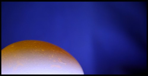 Egg and Lighting Assignment | by Free Range Photo + Design