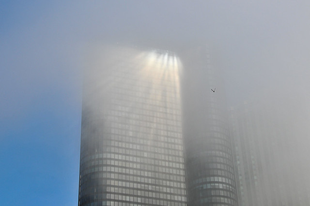 Skyscraper Light Refraction with Bird