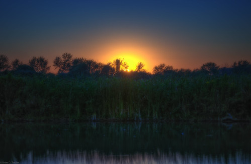 summer sunset by Brian D. Tucker, I took this photo at Rotary Park in Ajax, with Sare and Jyn... in 2010.
sunset ontario ajax d200 la