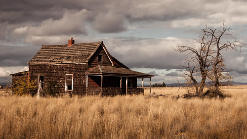 house tree oregon rural america lens landscape day cloudy decay madras grain fields kit pioneers withered tumbledown pioneer prarie d40x