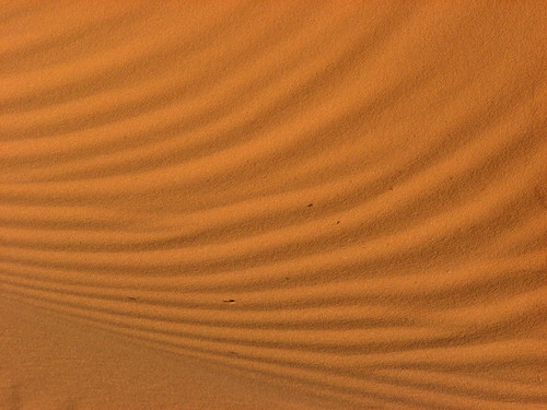 Sand Dunes 074 | by Chandler West