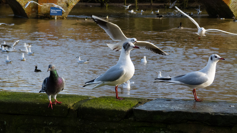 Feeding time