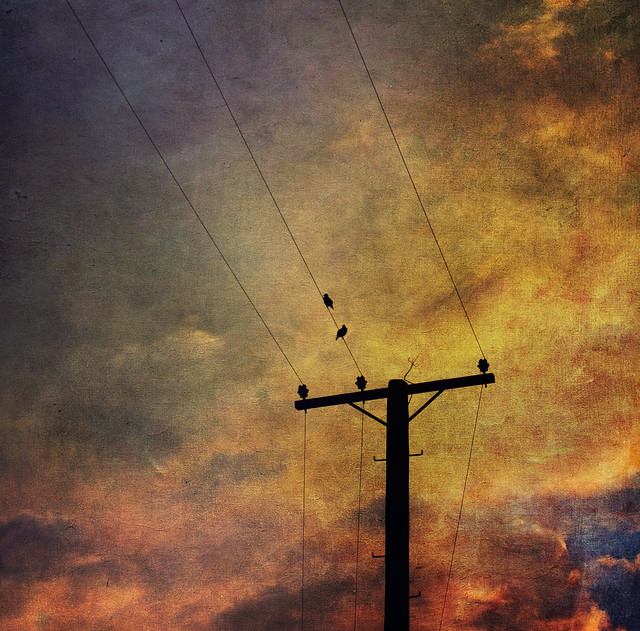 On the wire