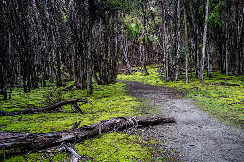 x100 wanaka newzealand landscape nz flickr smugmug