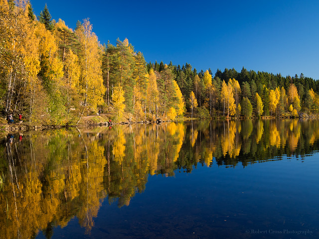 Norwegian Autumn Reflections