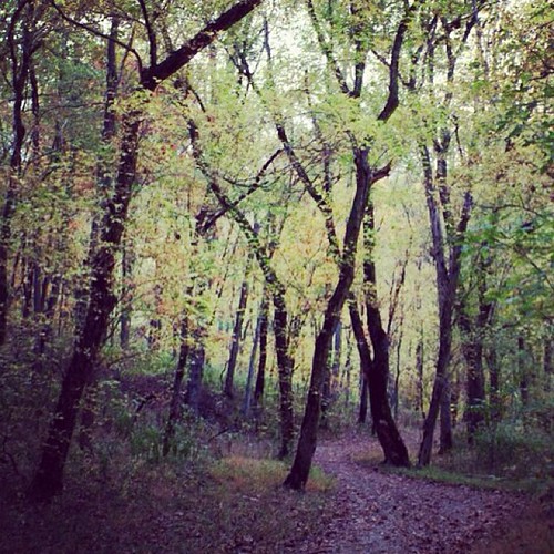 #Fall #foliage from Middle Creek Park in Burlington, #Kentucky. by MichelleMadeMoments, square squareformat amaro iphoneography instagramapp uploaded:by=instagram
