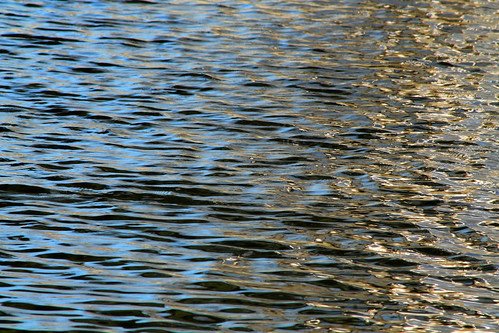 blue water pond shimmery ripples waterreflections waterripples pondreflections