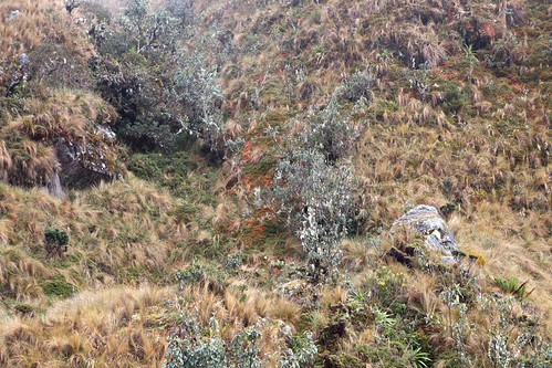 Peru 2014-04-25 at 06-57-25 | by docgazza