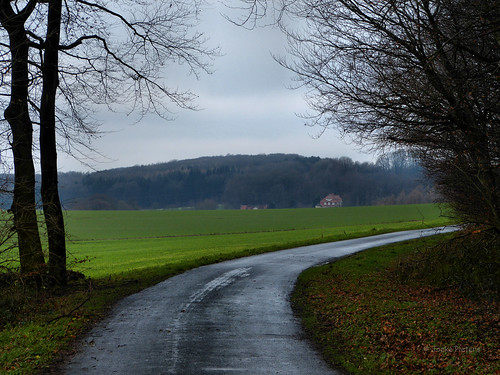 road germany landscape deutschland countryside duitsland weg landschap nottuln baumberge steverberge panasonicdmcfz150 1120694