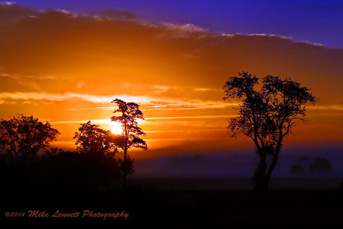 sunset orange tree fog sunrise glow mikelennett