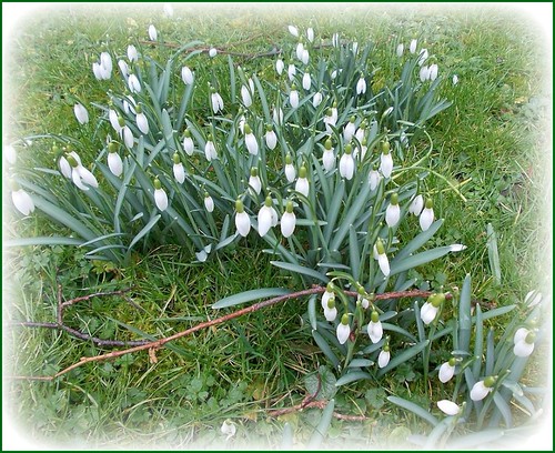 A  Sure Sign  ... | by ** Janets Photos **