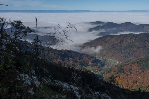 black forest belchen rhein tal valley view landscape fog nebel wolken clouds mountain mountains nature natur autumn herbst
