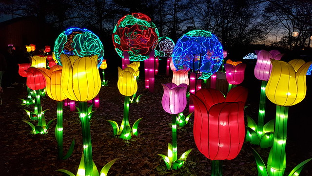 Ohio Chinese Lantern Festival