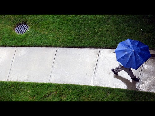 blue green grass rain june umbrella sidewalk viewfrom viewfrommyoffice 2013