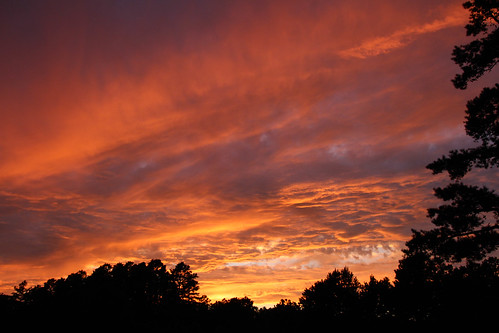 sunset nature clouds newjersey pinelands pinebarrens franklinparkerpreserve