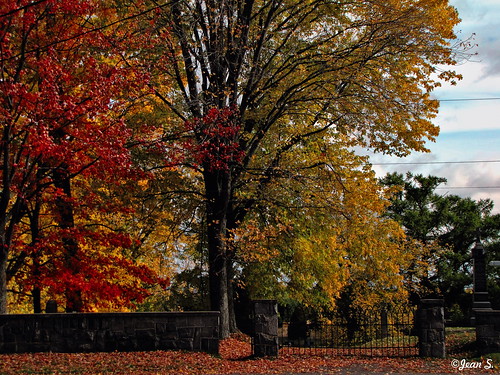 fence cemetery outdoor colors trees autumn fall landscape leaves yellow red blue white green sky clouds