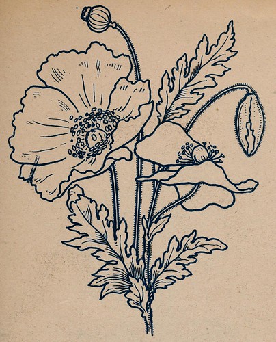 voor bloemenvriendjes pm 1890 ill papaver | janwillemsen | Flickr