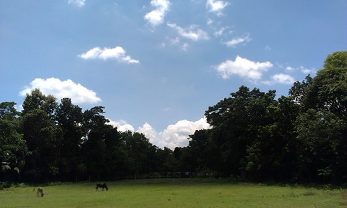 sky cloud tree nature field landscape bangladesh